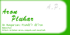 aron pluhar business card